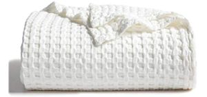 Bedsure Waffle Cotton Blanket Bamboo - Waffle Weave Blanket Queen Size, Soft Lightweight Bed Blanket for All Season(90x90 inches, Cream White)