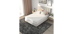 8 inch, Queen - NapQueen Bamboo Charcoal Memory Foam Mattress in a Box, Medium Firm