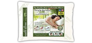 Ontel Miracle Shredded Memory Foam Pillow with Viscose from Bamboo Cover, Queen, White