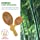 Hair Brush Set, Natural Bamboo Comb Paddle Detangling Hairbrush, Wide-tooth and tail comb No Bristle, suit for Women Men and Kids Thick/Thin/Curly/Dry Hair Gift kit by MRD