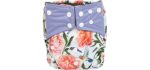 Baby Pocket Cloth Diaper Nappy Bamboo Charcoal Double Gussets Reusable Girls (Floral Hummingbirds)