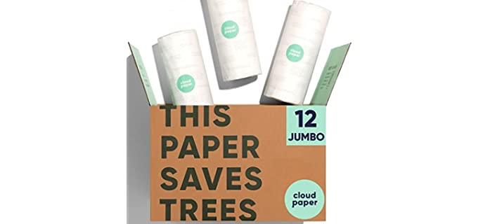 Cloud Paper Bamboo Paper Towels - 12 Rolls of Environmentally-Friendly, Disposable Kitchen Paper Towels (125 sheets per roll) - FSC-certified, Totally Chlorine-Free, Plastic-Free, and Vegan