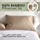 Bamboo is Better Bamboo Pillowcases, King | Luxury Bamboo Bedding | 2 Piece Pillow Cover Set | Bamboo Silk Pillowcase for Sensitive Skin | Smooth & Durable 100% Bamboo Viscose Cooling Pillow Covers