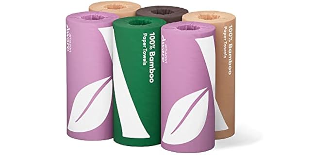 Amazon Aware 100% Bamboo Paper Towels, 6 Rolls, 2 ply, FSC Certified, 150 Sheets, 900 Count, Plastic-Free, Multicolor