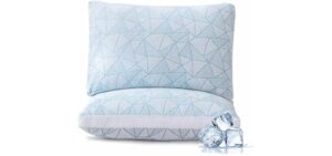 Shredded Memory Foam Cooling Soft Bamboo Viscose Pillows Queen Size Set of 2, Adjustable Hypoallergenic Hotel Quality Pillows for Stomach, Back or Side Sleeper, Oeko-TEX Certified